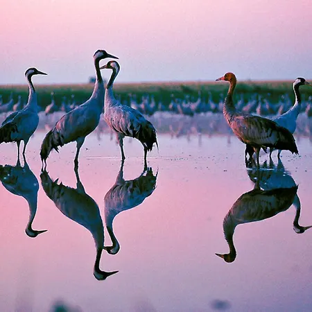 Wadler, Nr 2, Lindenstrasse 公寓